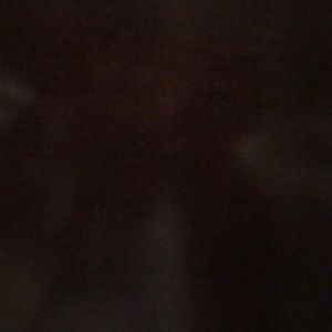 Meet your Posher, Shanel